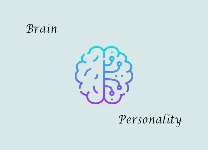 Brain | Personality | G-College